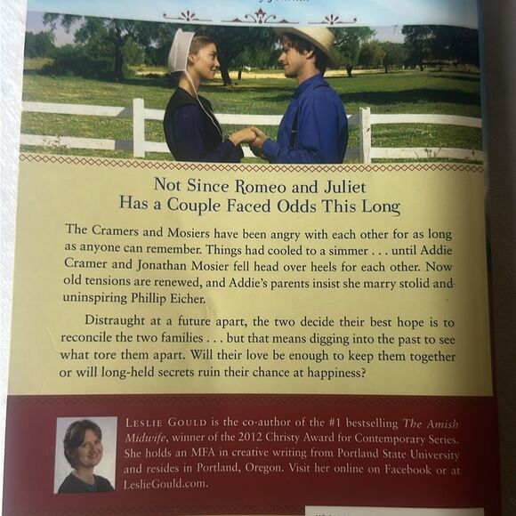 “Adoring Addie” by Leslie Gould - Picture 4 of 7